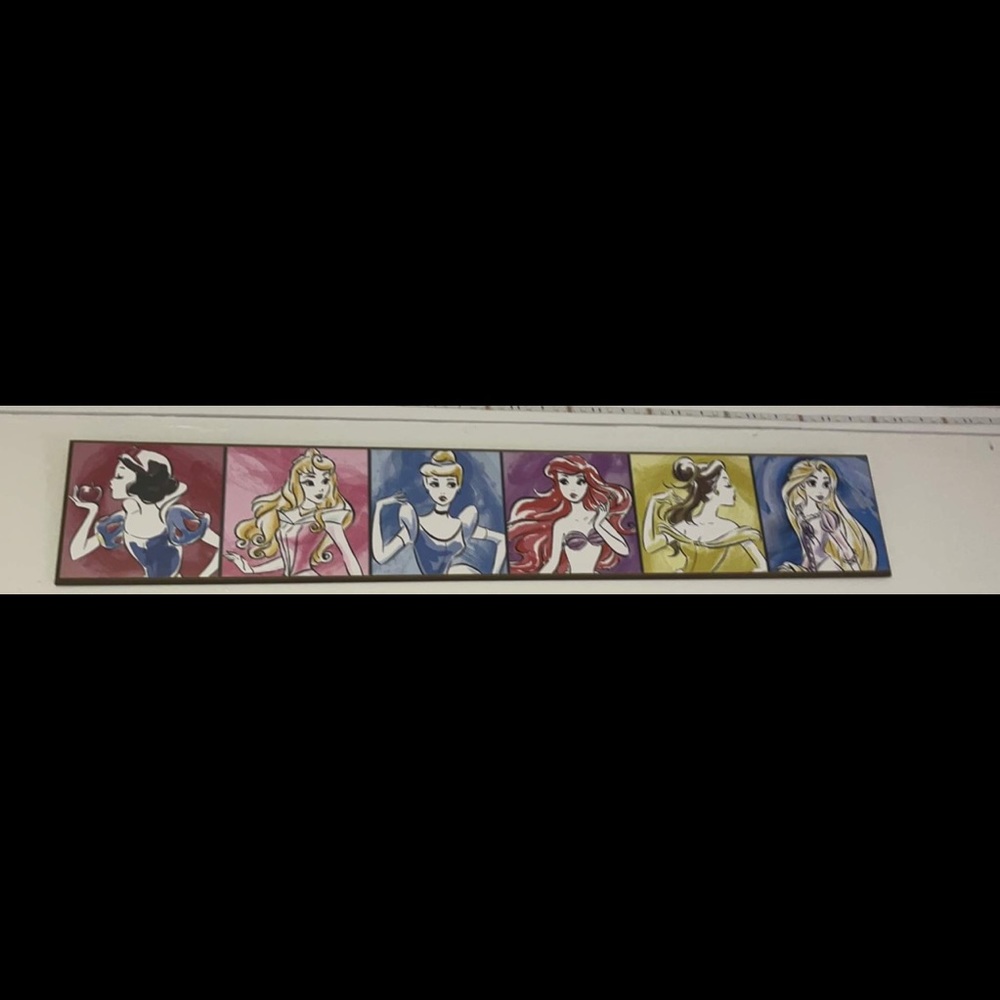 Disney Princess Canvas.
